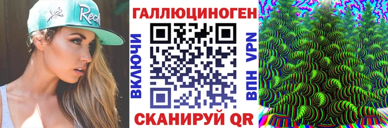KRAKEN сайт Алзамай Псилоцибиновые грибы GOLDEN TEACHER